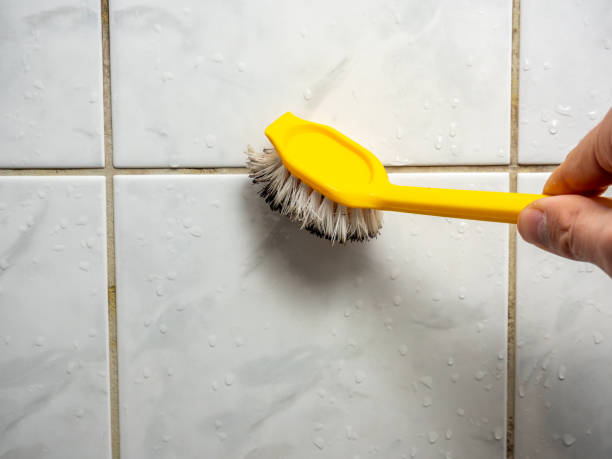 Best Mold Removal and Inspection  in Hartley, CA