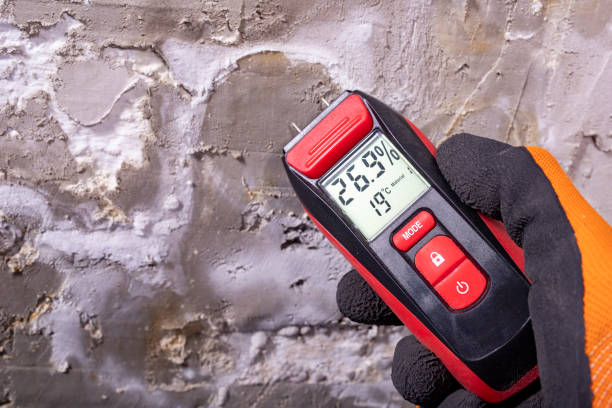 Professional Mold Removal in Hartley, CA