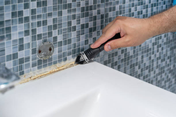 Best Toxic Mold Removal  in Hartley, CA