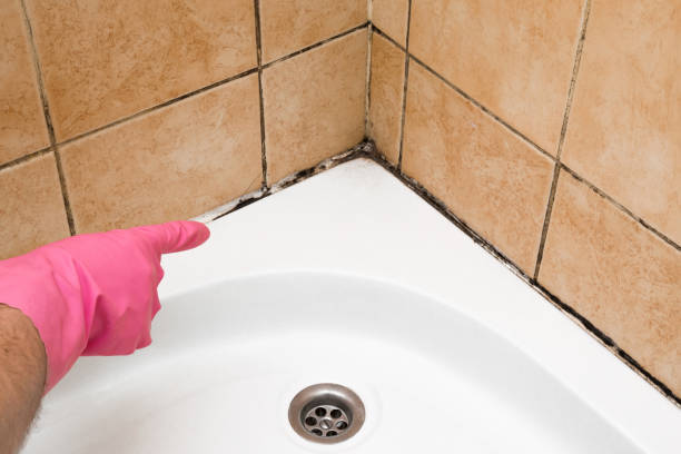 Best Affordable Mold Removal  in Hartley, CA